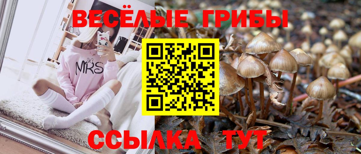 Галлюциногенные грибы Psilocybine cubensis  Вход с VPN  что такое   Заволжье  Галлюциногенные грибы Magic Shrooms 