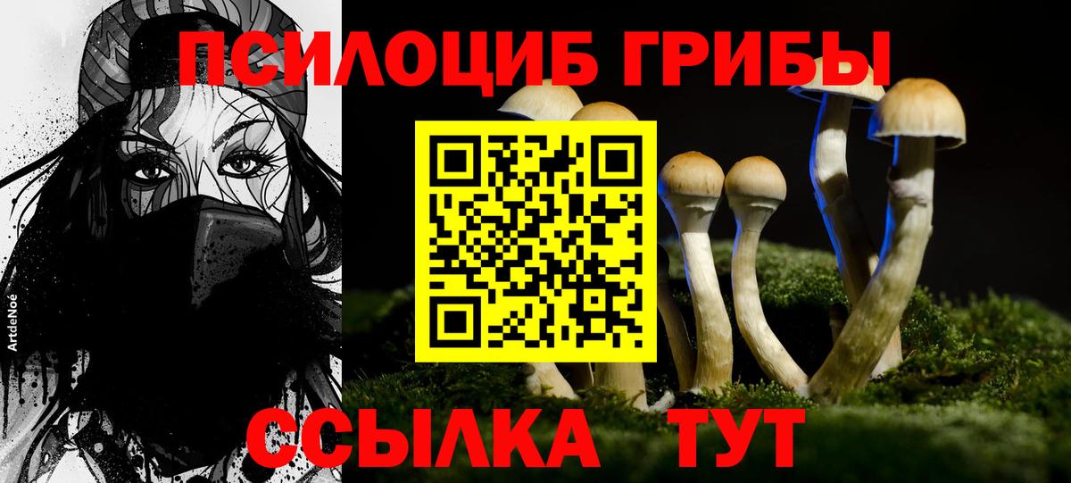 Псилоцибиновые грибы Magic Shrooms Заволжье